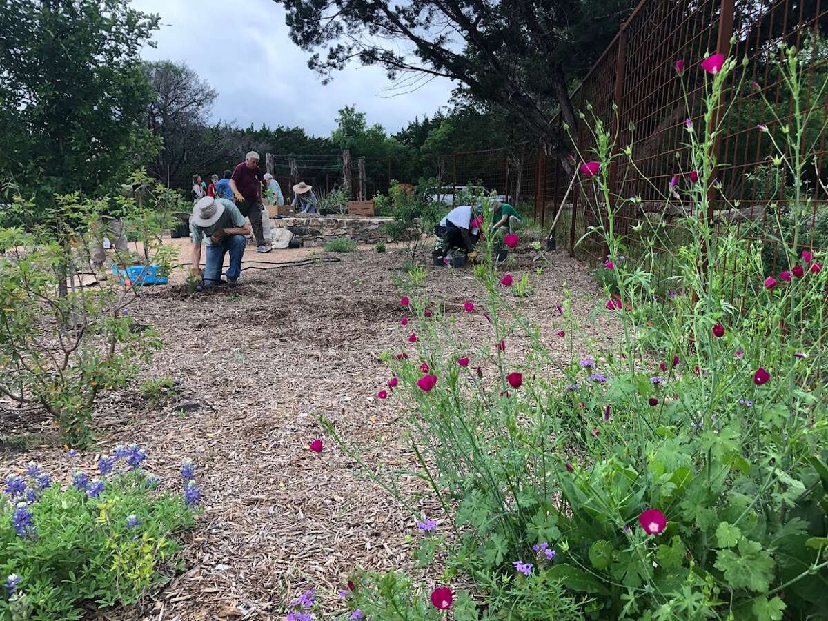 Native Plant Wildlife Demonstration Garden at Phil Hardberger Park.