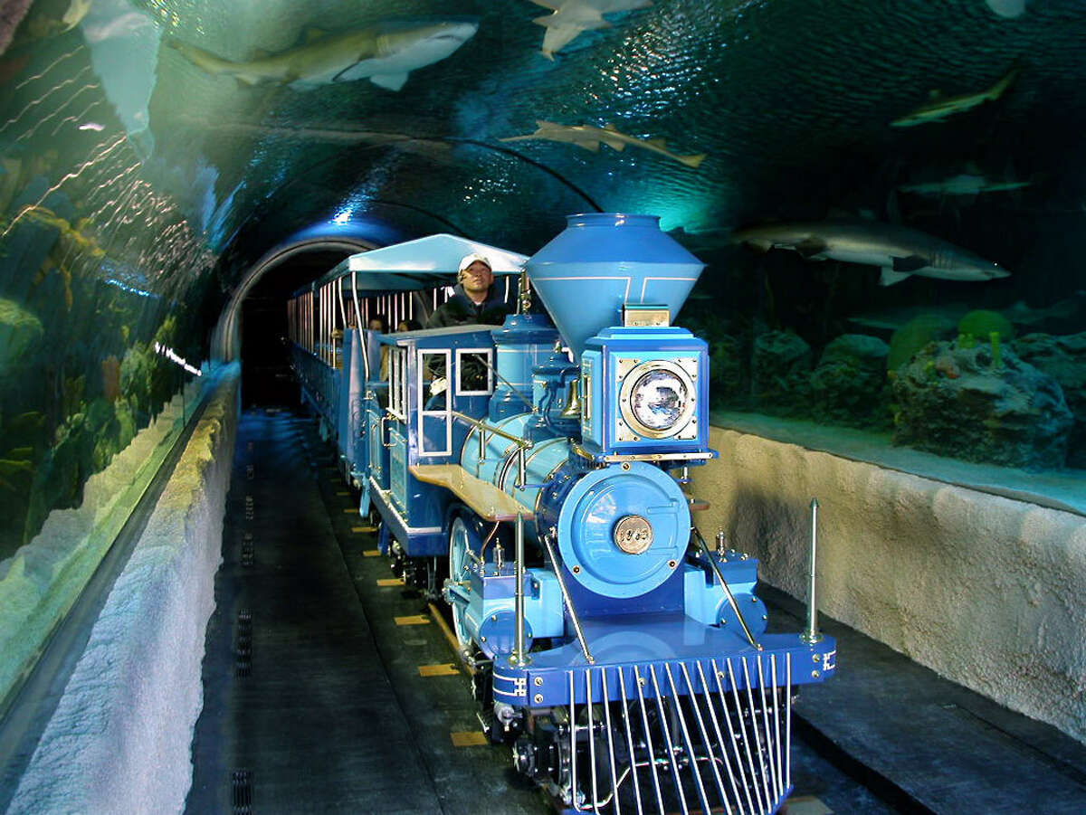 An insider's guide to the Downtown Aquarium in Houston