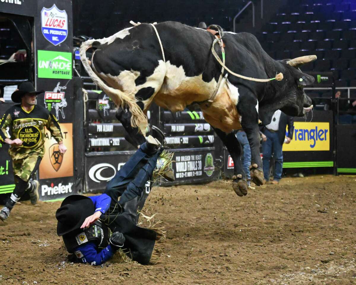 Bull riders finish their stay in Albany