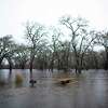 2022年12月31日，加利福尼亚州塞瓦斯托波尔市Tomodachi公园，一个儿童秋千野餐区，周围是被洪水淹没的圣罗莎湖。随着一条大气河流袭击索诺马县，洪水警报已经生效。