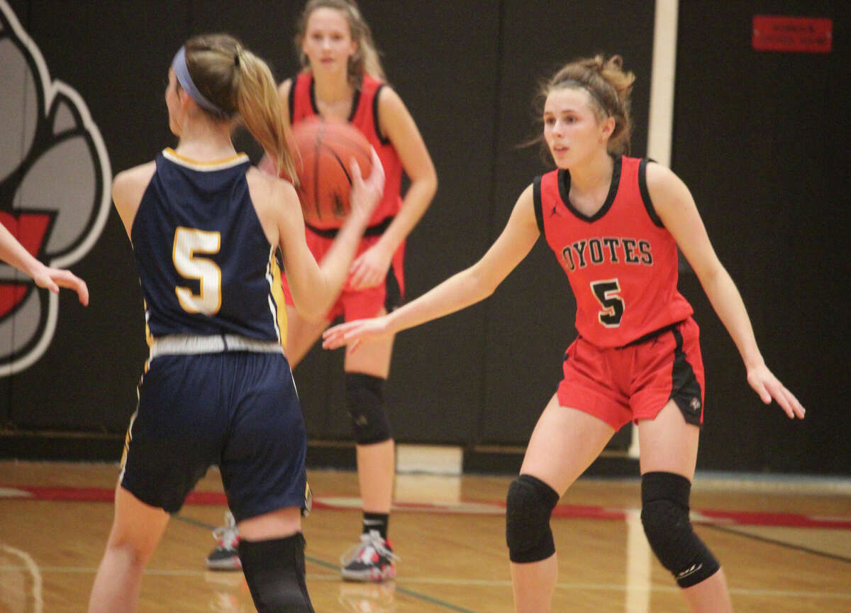 Five on five: Reed City's Molly Bowman (5) guards Ithaca's Delaney Seaman in Saturday's title game.