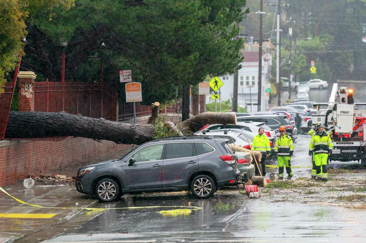 A San Francisco Public Works crew removes a fallen tree Saturday on 22nd Street.