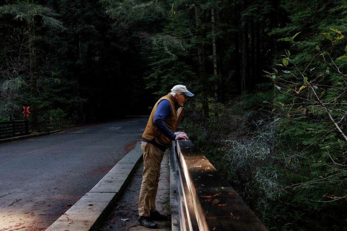 California salmon season: Where to find native coho in Bay Area