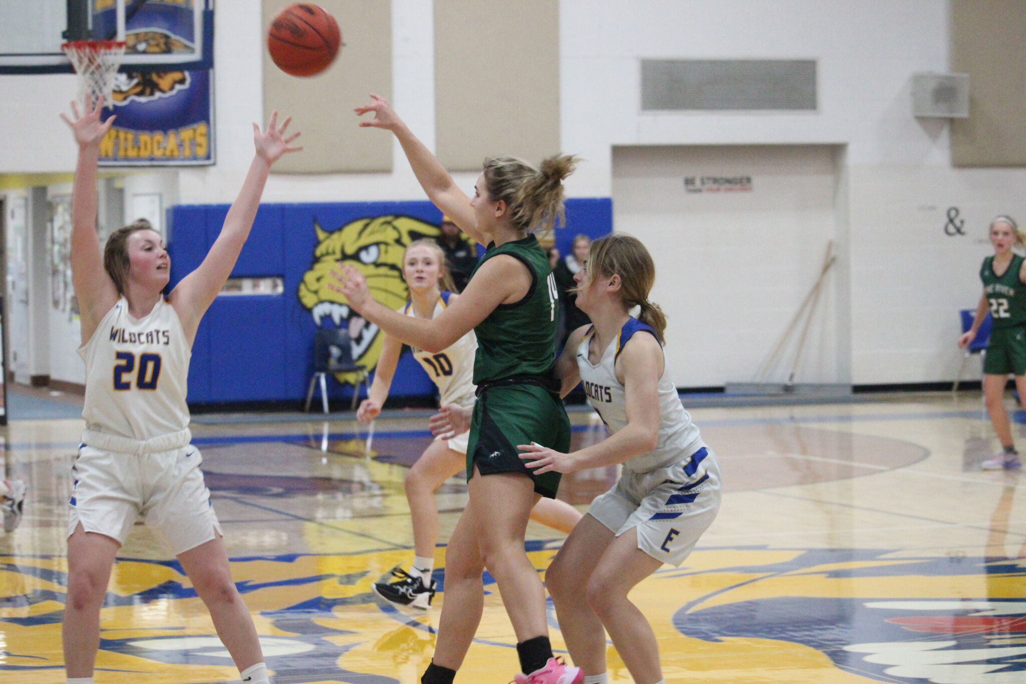 A complete player Evart's Brooklyn Decker neatly fills the bill