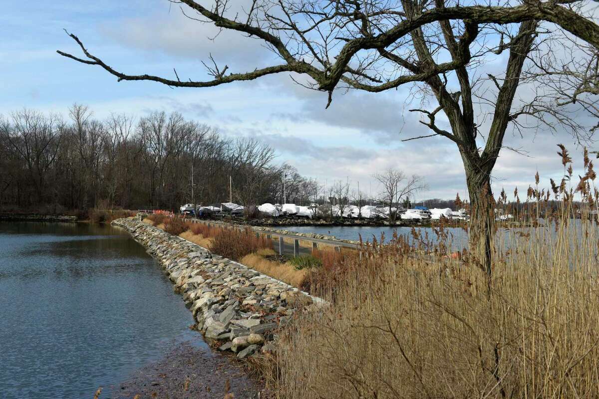The Stamford Museum and Nature Center is working with the Friends of Greenwich Point to hold an exploration activity known as a “quest” between now and Feb. 28, 2023.