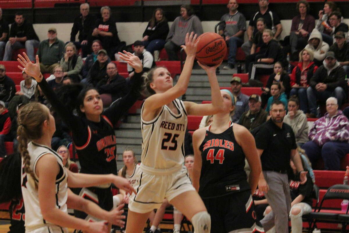 Reed City's Kyleigh Weck (25) glides to the basket against Ludington.