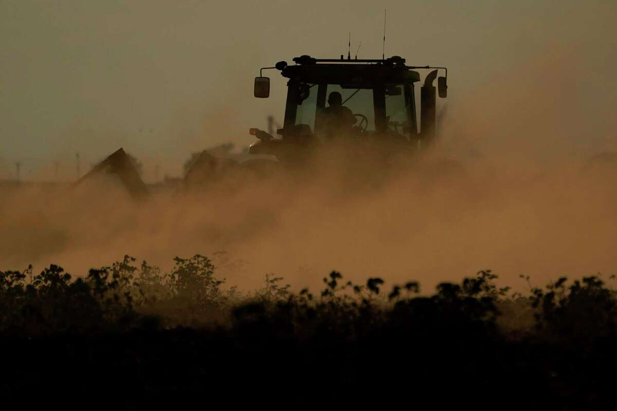 Story photo for Texas ag agency: Climate change threatens state food supply