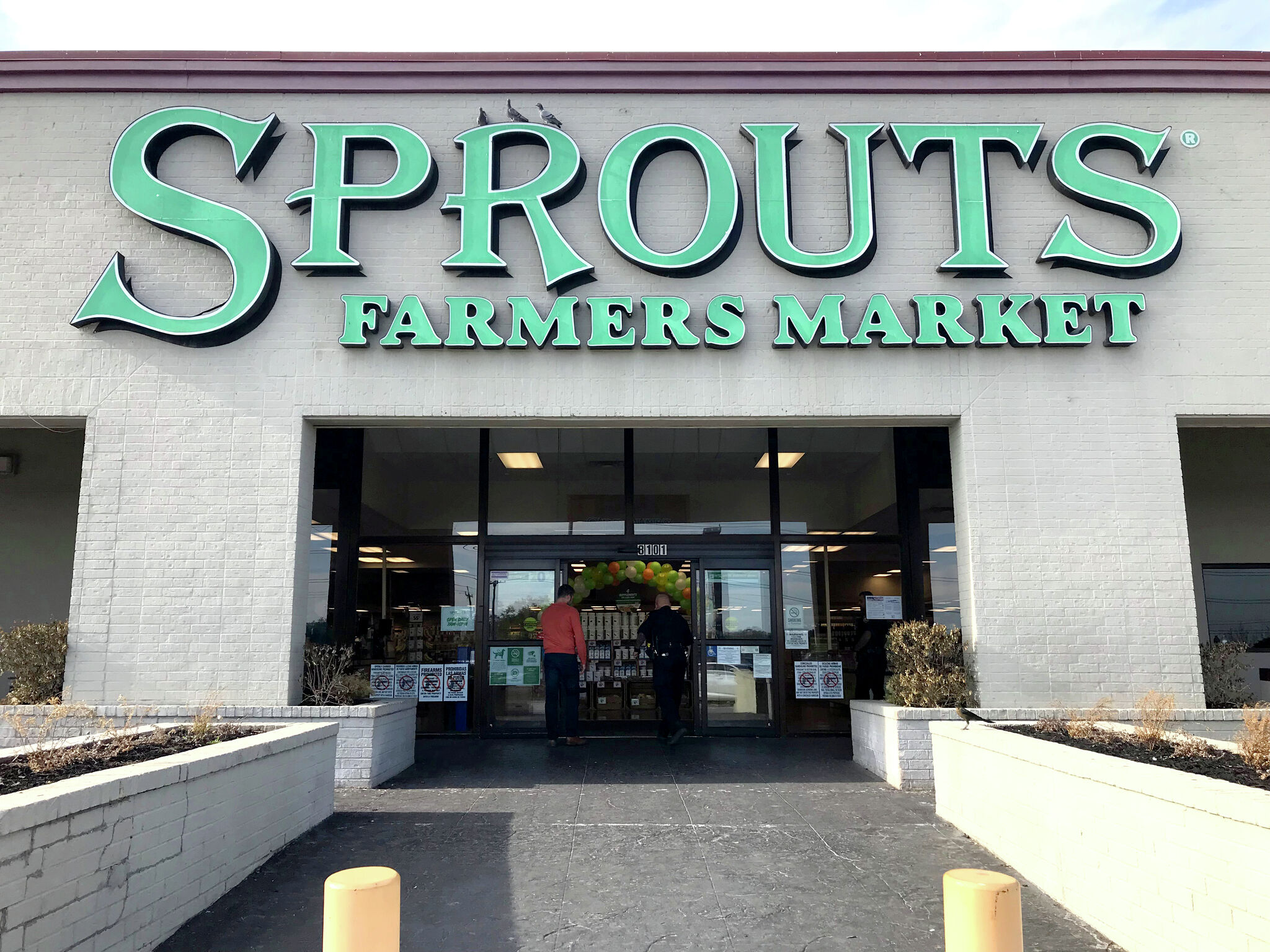 Amazing Grass  Sprouts Farmers Market