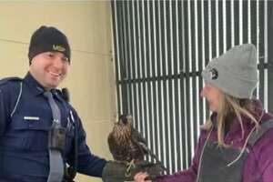 State police answer call of the wild after bird dials 911
