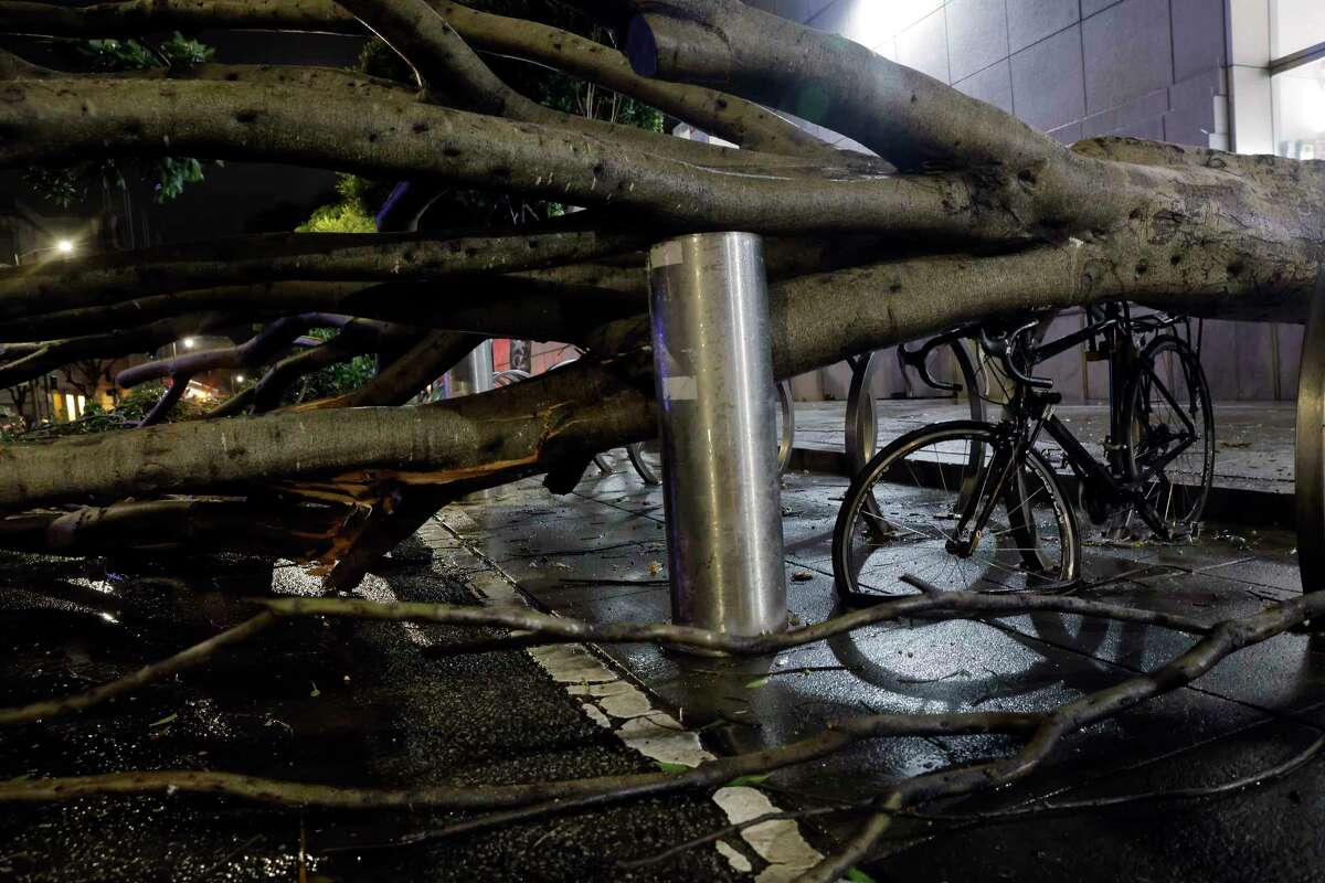 A bicycle sits crushed nether  a fallen histrion   connected  Grove Street wherever  respective  trees fell astir   the SF Public Library from precocious   winds and dense  rainfall  successful  San Francsico, Calif., connected  Wednesday, January 04, 2023. The Bay Area is braced for a almighty  tempest  successful  the adjacent  fewer  days pursuing  a beardown  1  connected  December 31st.