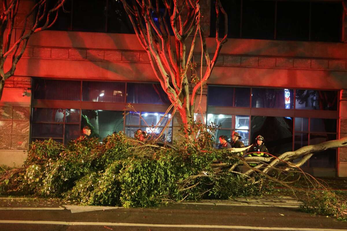 The San Francisco Fire Department respond to downed branches of a tree on Mission Street near Van Ness Ave in San Francisco during the storm hitting the Bay Area on Jan. 4, 2023.