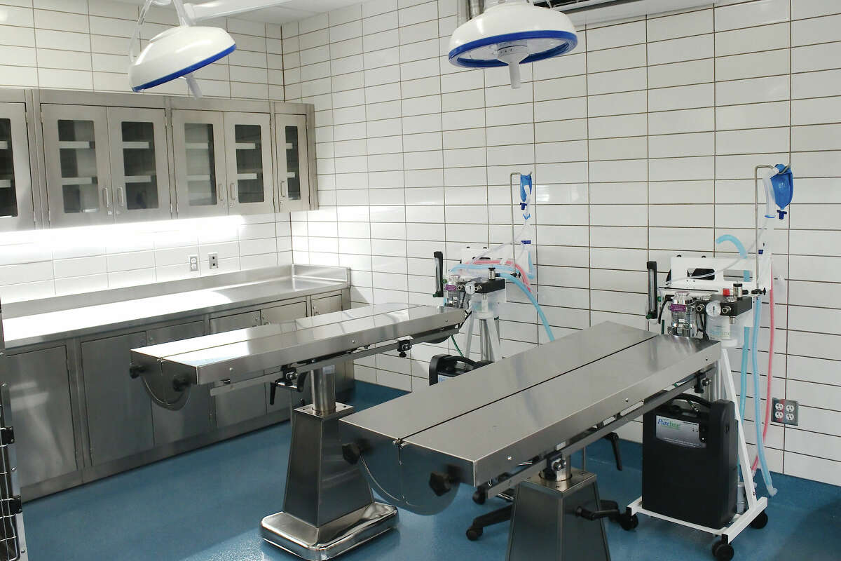 New Pearland animal shelter's grand opening set for Jan. 21