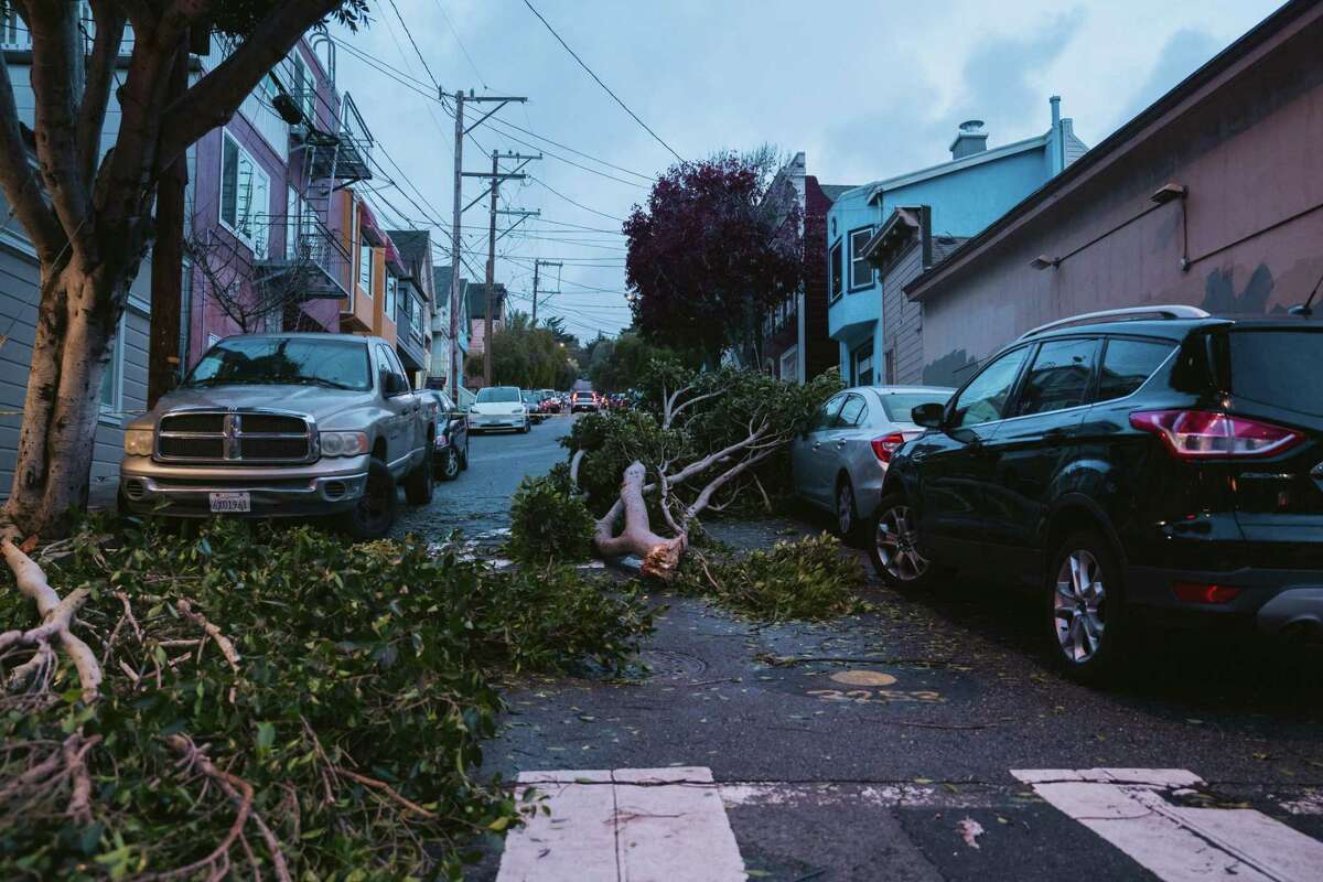 Fallen branches block the intersection of Cortland Avenue and Wool Street in San Francisco’s Bernal Heights on Thursday.