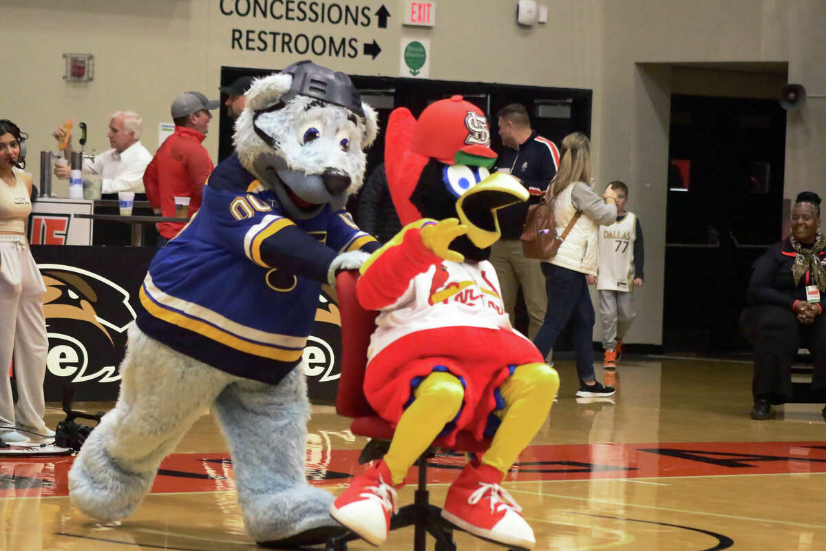 Fredbird and Louie were at SIUE's First Community Arena on Thursday to celebrate the 13th birthday of SIUE's mascot, Eddie the Cougar. 