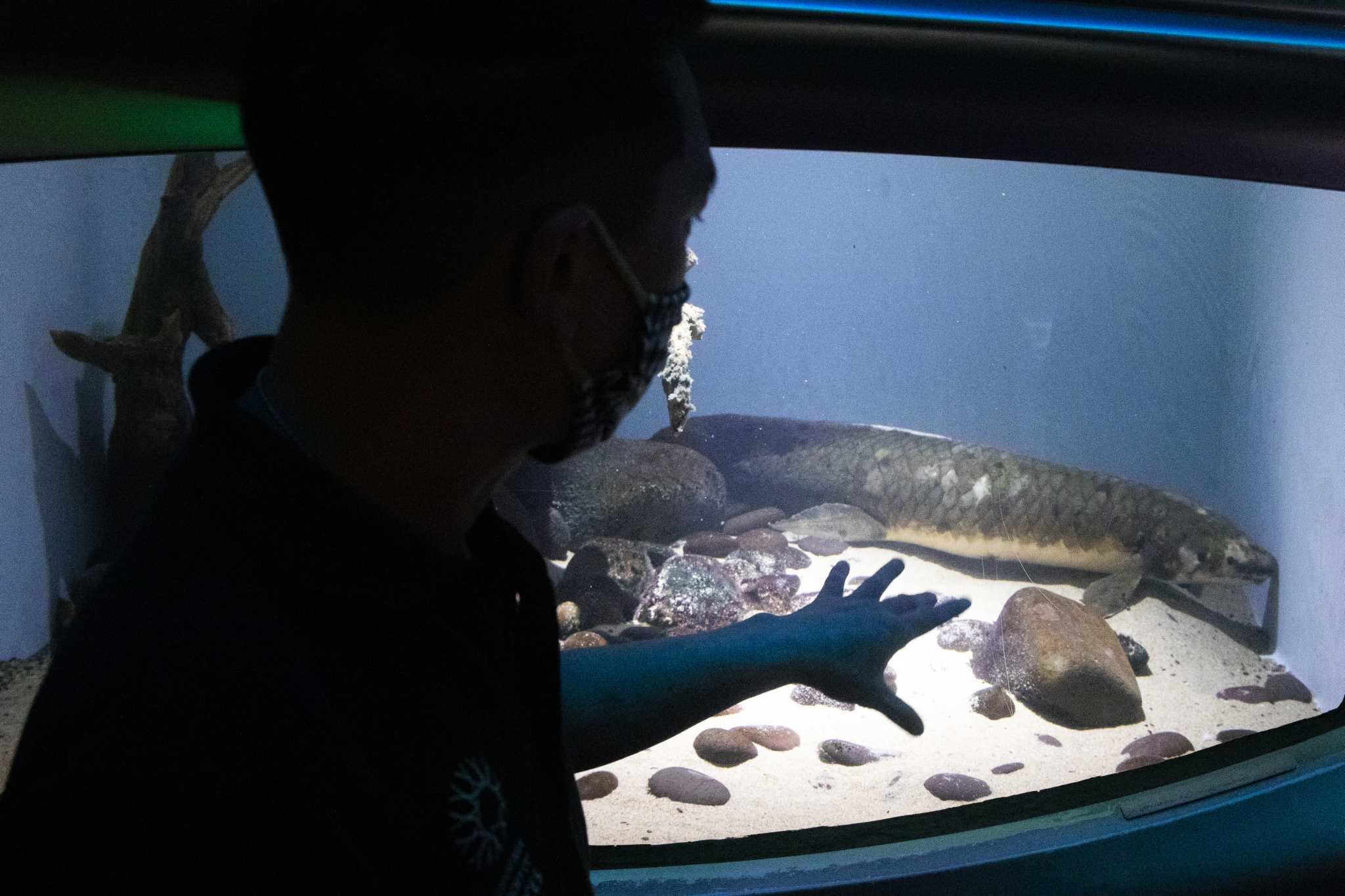 San Francisco has the oldest aquarium fish. Now we know her age