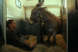 'EO,' the season's second donkey film, steals your heart