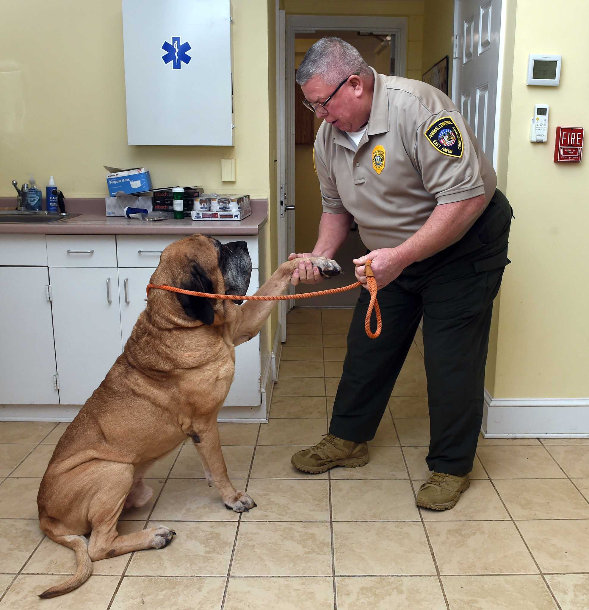 Owen Little, heart of East Haven Animal Shelter, retires Owen Little, heart of East Haven Animal Shelter, retires