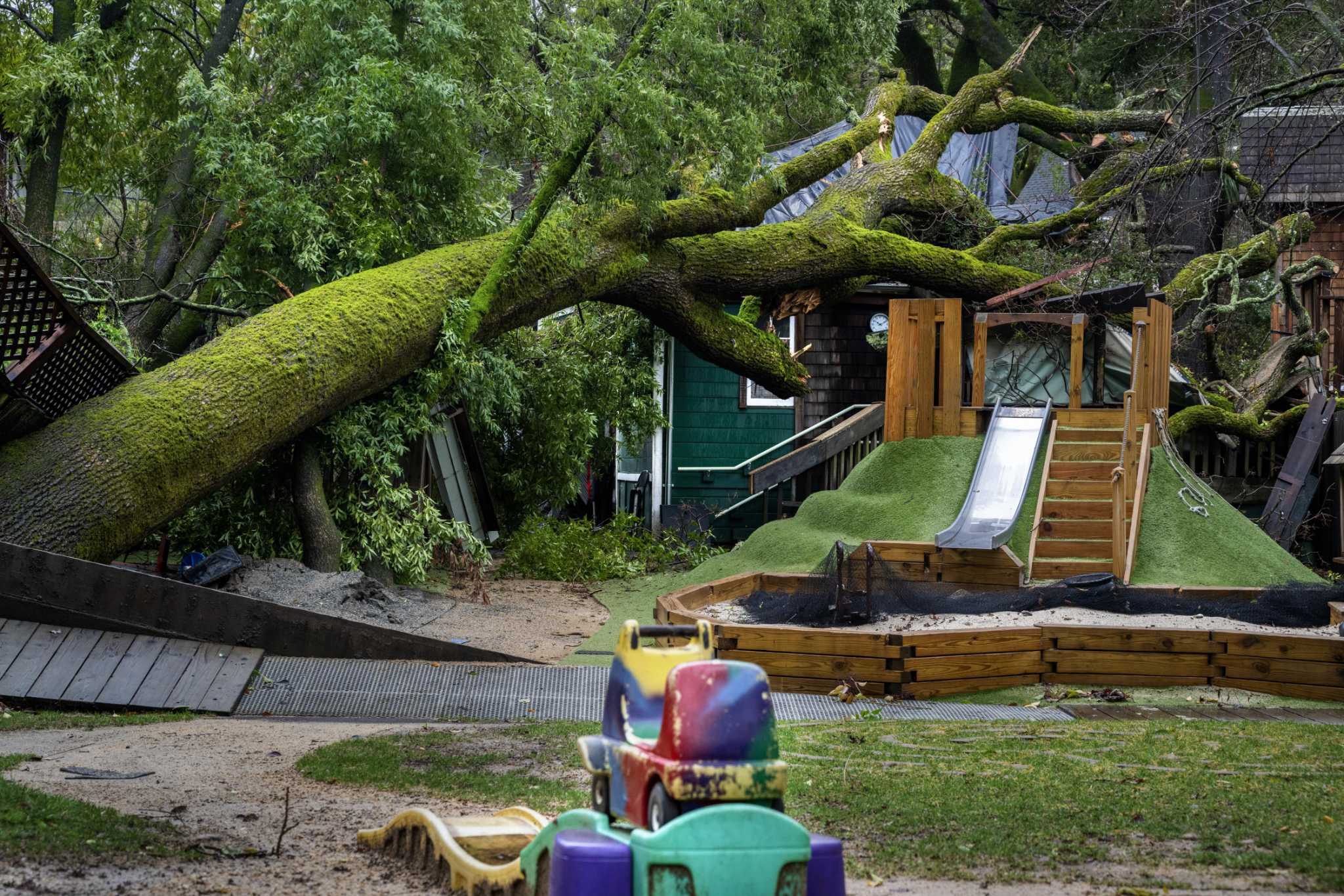 California storm Oak tree crushes beloved San Anselmo preschool