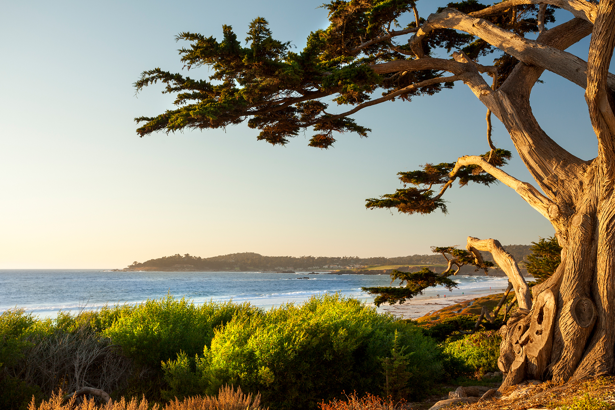 'A lot of hysteria': Wealthy Calif. coastal city is now a high-risk fire zone