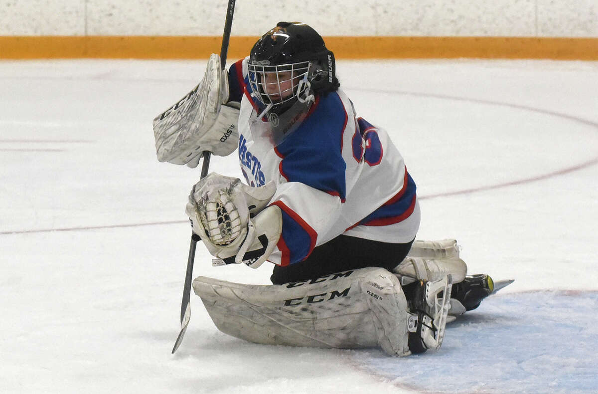 Best Goalie Blockers for Hockey [January 2023]