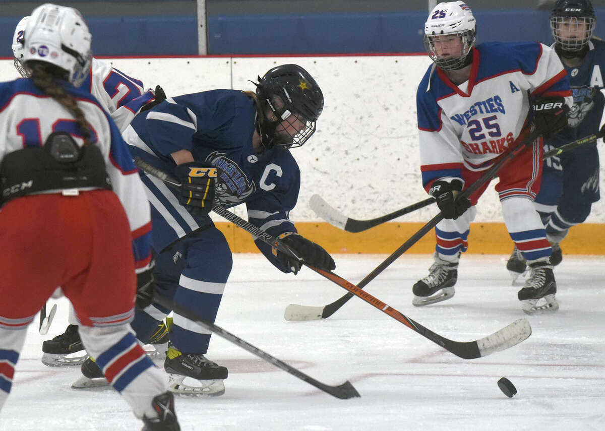 Girls hockey: Area teams ready to hit the ice for the 2022-2023 season