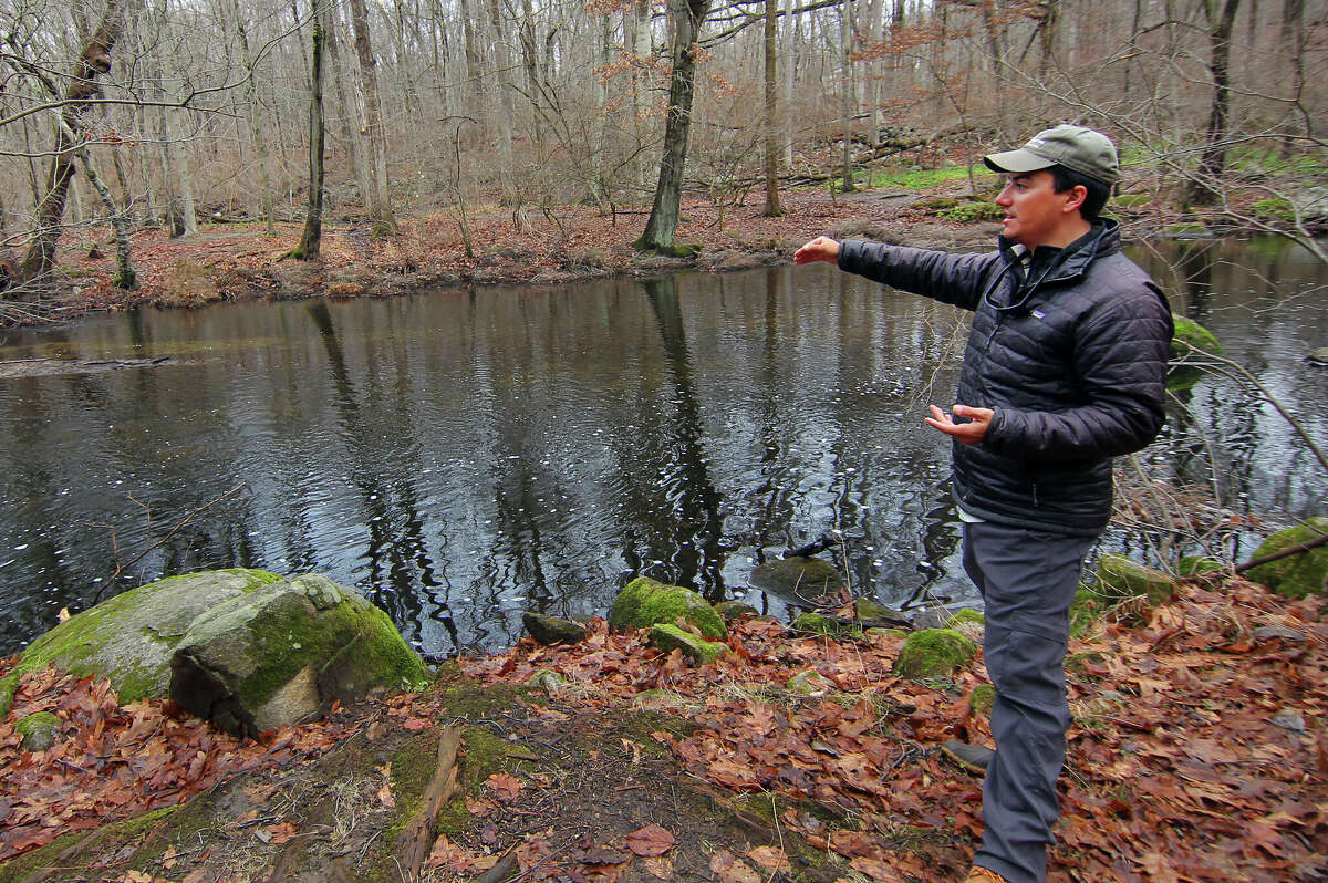 In Photos Christmas Tree 'Ecocycle' Event Held at Mianus River Park
