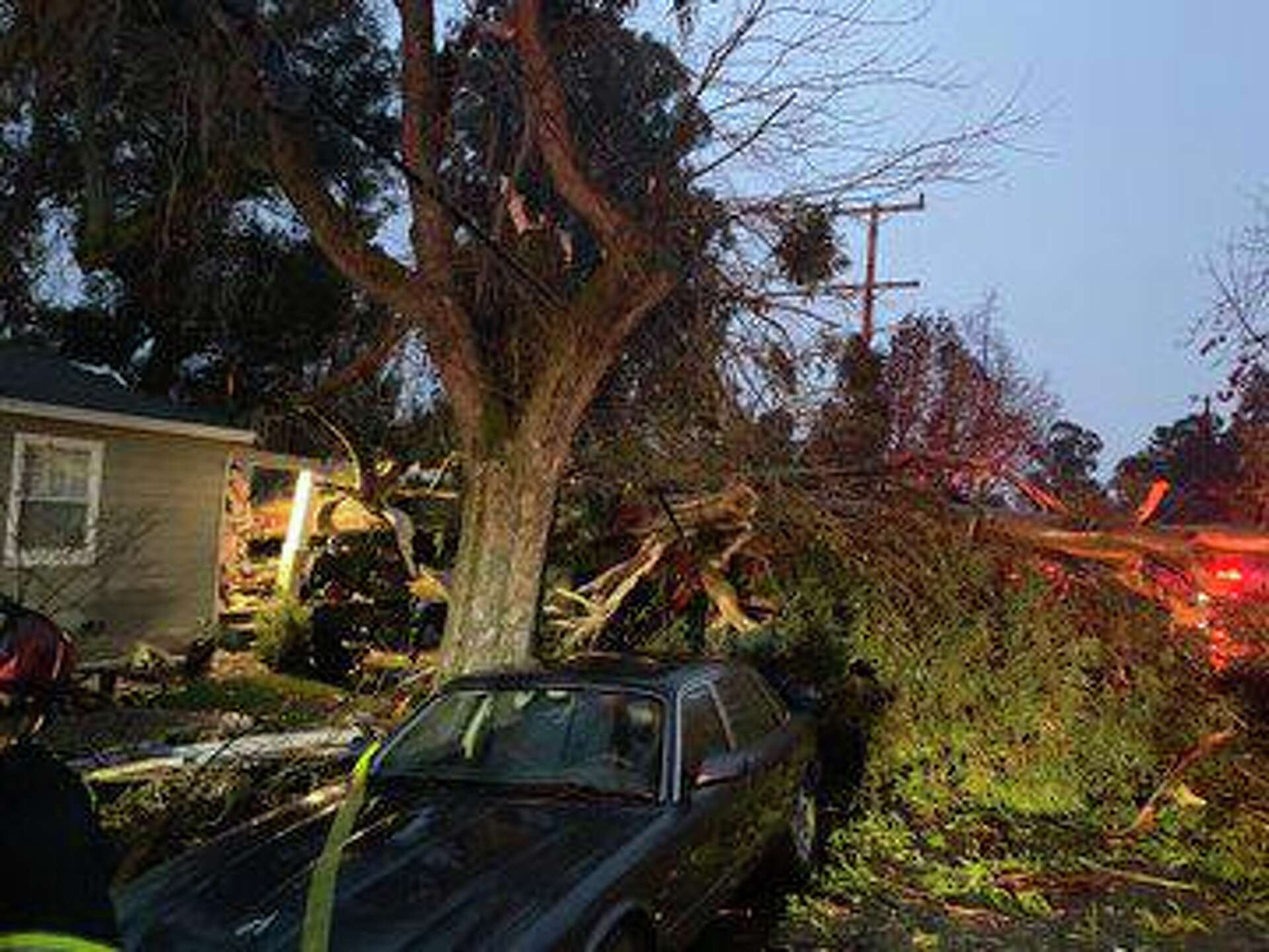 Resident hospitalized after tree falls on East Bay home