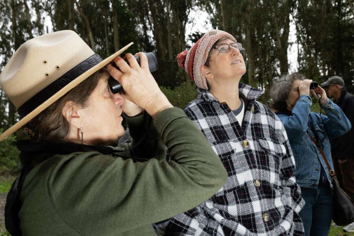 National Park Service Ranger Mia Monroe looks through binoculars and Tiffany Loewenberg watches during the annual monarch butterfly count at the Presidio in San Francisco.