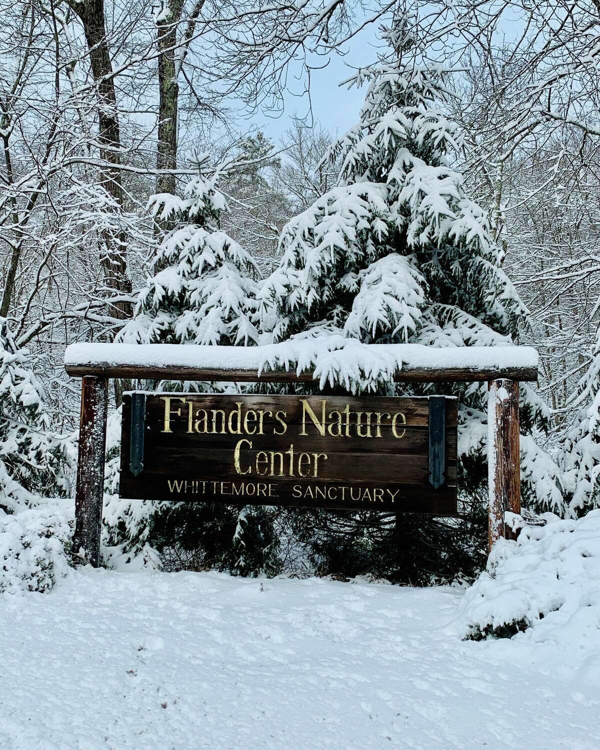 Flanders Nature Center & Land Trust recently announced that it has acquired 19 acres parcel of land at Terrell Road in Woodbury. The property connects to Flanders’ largest preserve, The Whittemore Sanctuary .