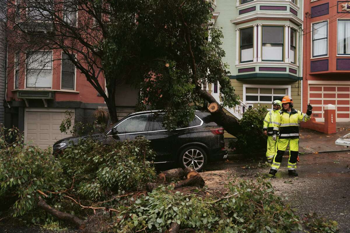 San Francisco Public Works employees cut and clear a large tree which fell on a car in Noe Valley on Jan. 5, 2023.