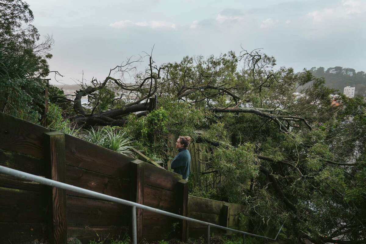 2023年1月5日星期四，利兹·莫里森在旧金山日落区看着一棵被连根拔起的树倒在她的公寓顶上。莫里森并不知道她拥有一块户外土地，直到旧金山公共工程公司以地产线为由拒绝移走这棵倒下的树。