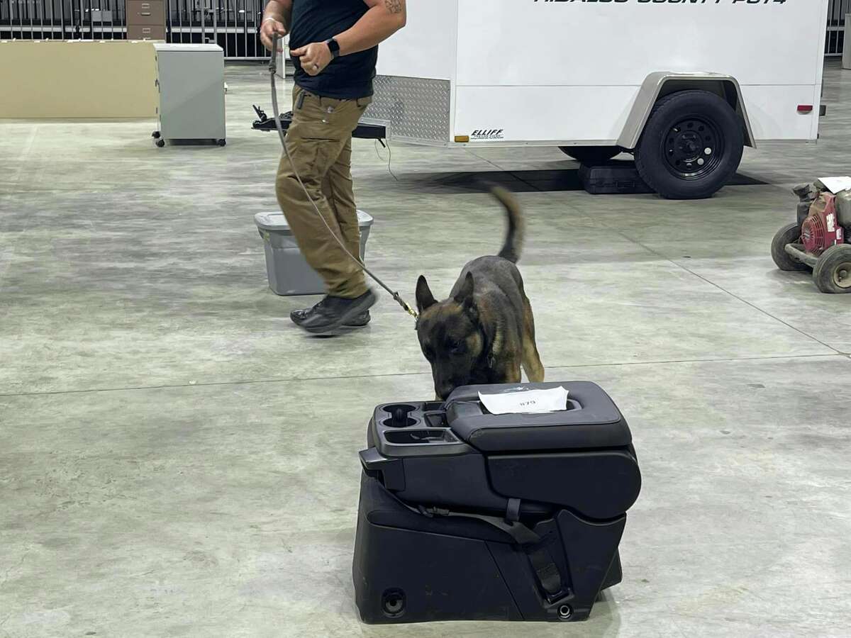 A canine officer inspects an object for anything to alert its handler.