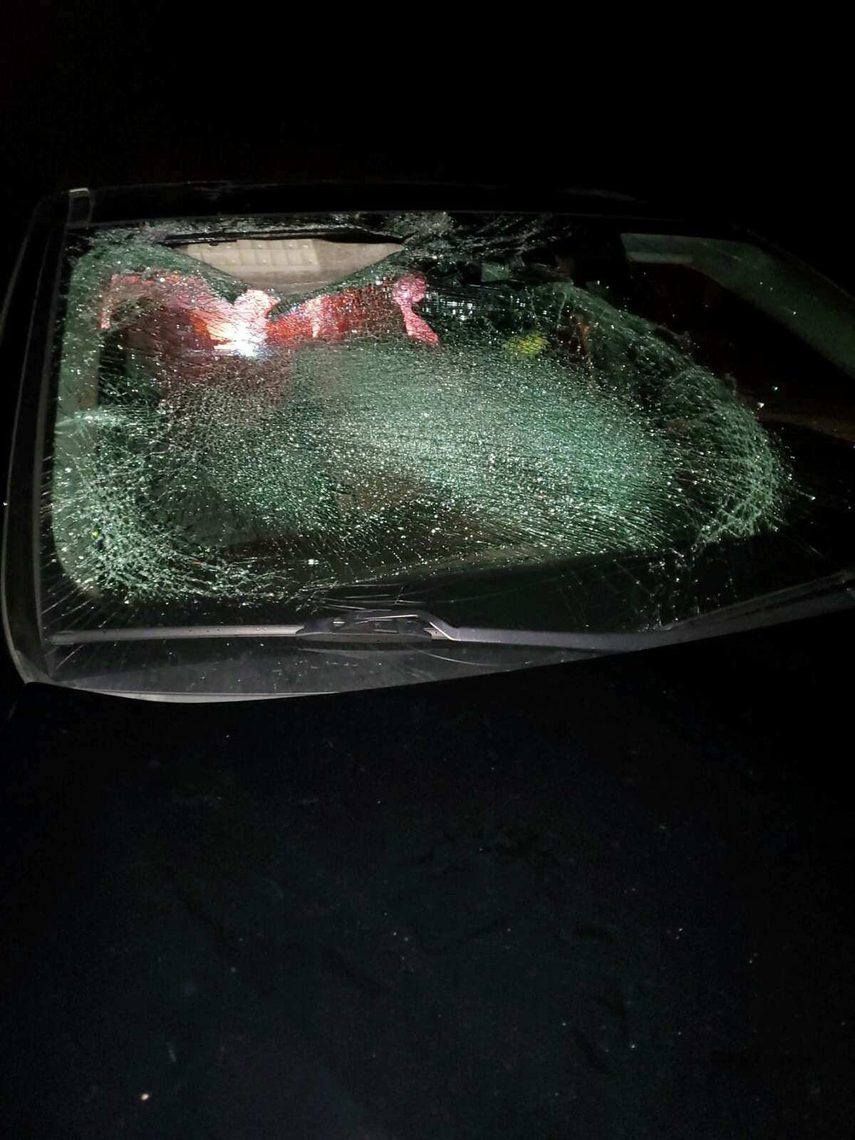 Driver strikes dead bobcat hanging from Schoharie highway bridge