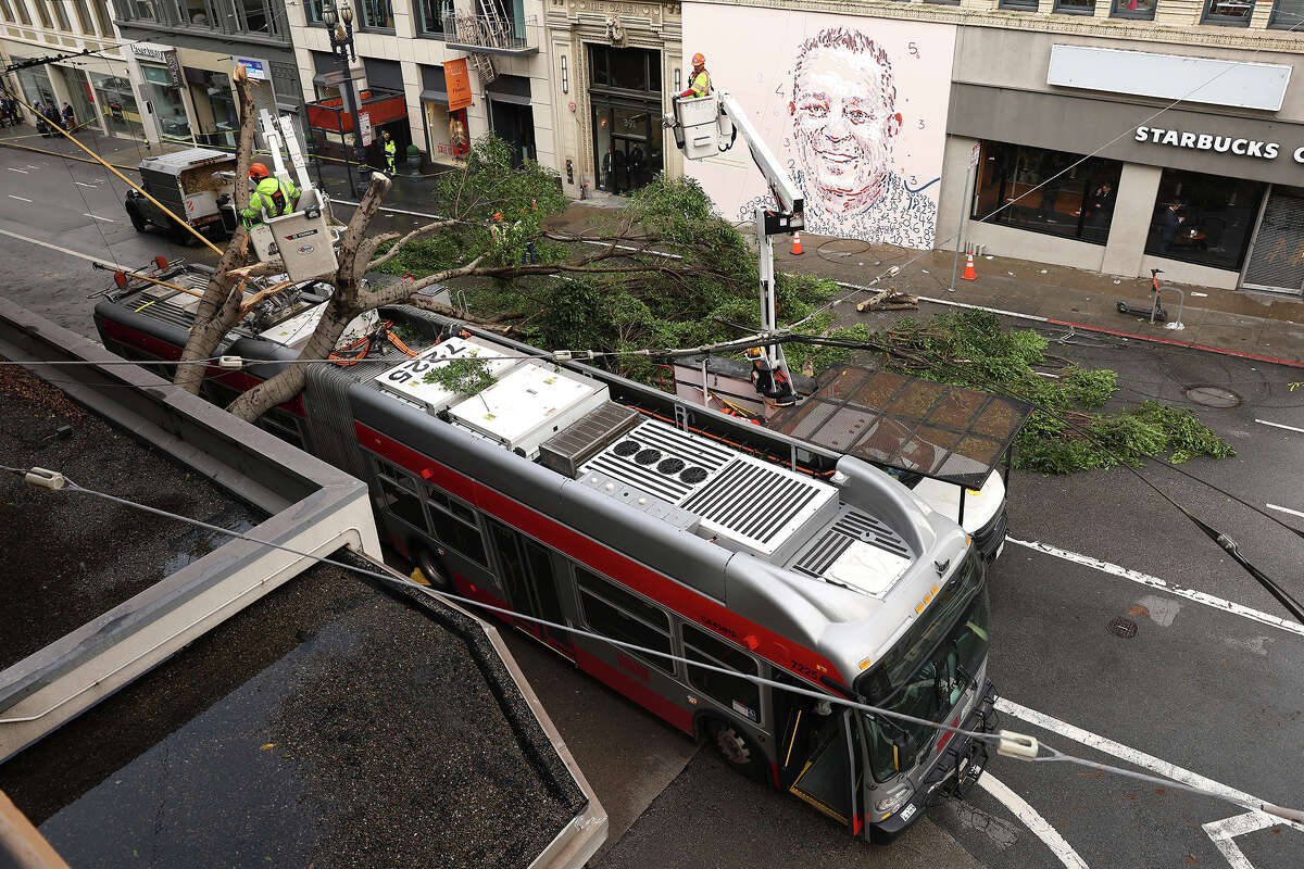 San Francisco Department of Public Works workers cut up a tree that fell on a SF MUNI bus after a storm passed through the area on January 10, 2023 in San Francisco, California. 