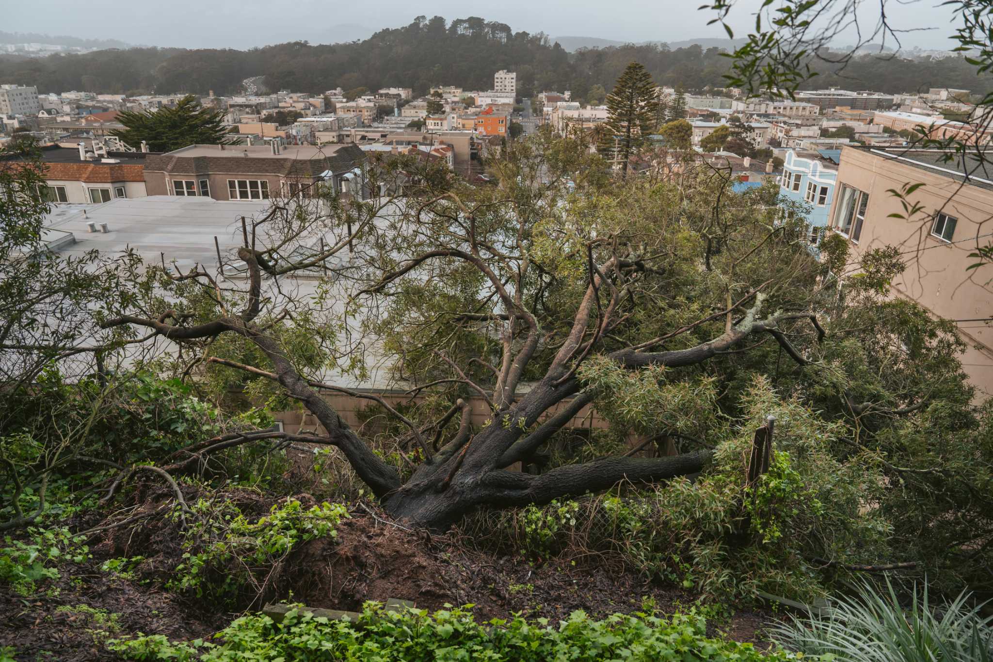 Dealing With Bay Area Storm Damage Here s What Insurance Is Likely To 