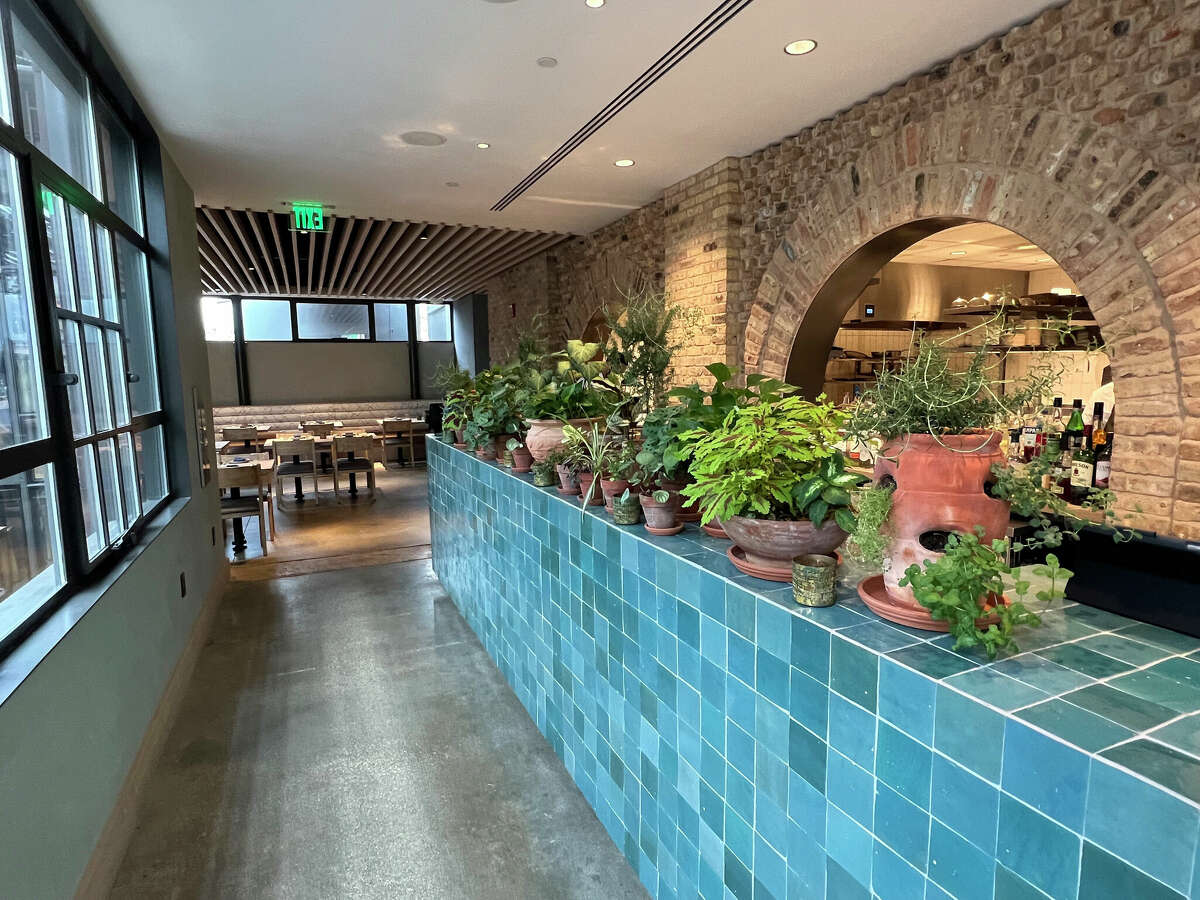 Mike Sutter review Ladino’s Mediterranean magic at the Pearl