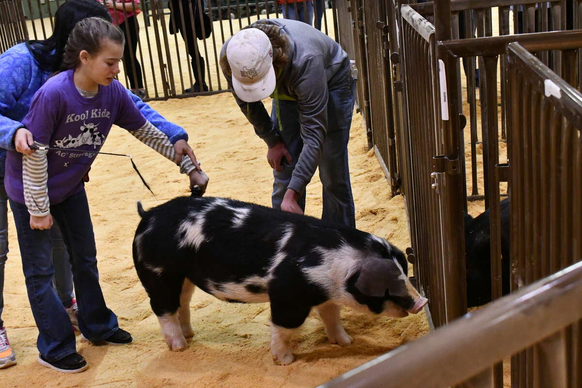 Kool Kidz Ag-travaganza kicked off Hale County Livestock Show activities Thursday (Jan. 12, 2023) morning at the Ollie Liner Center. 