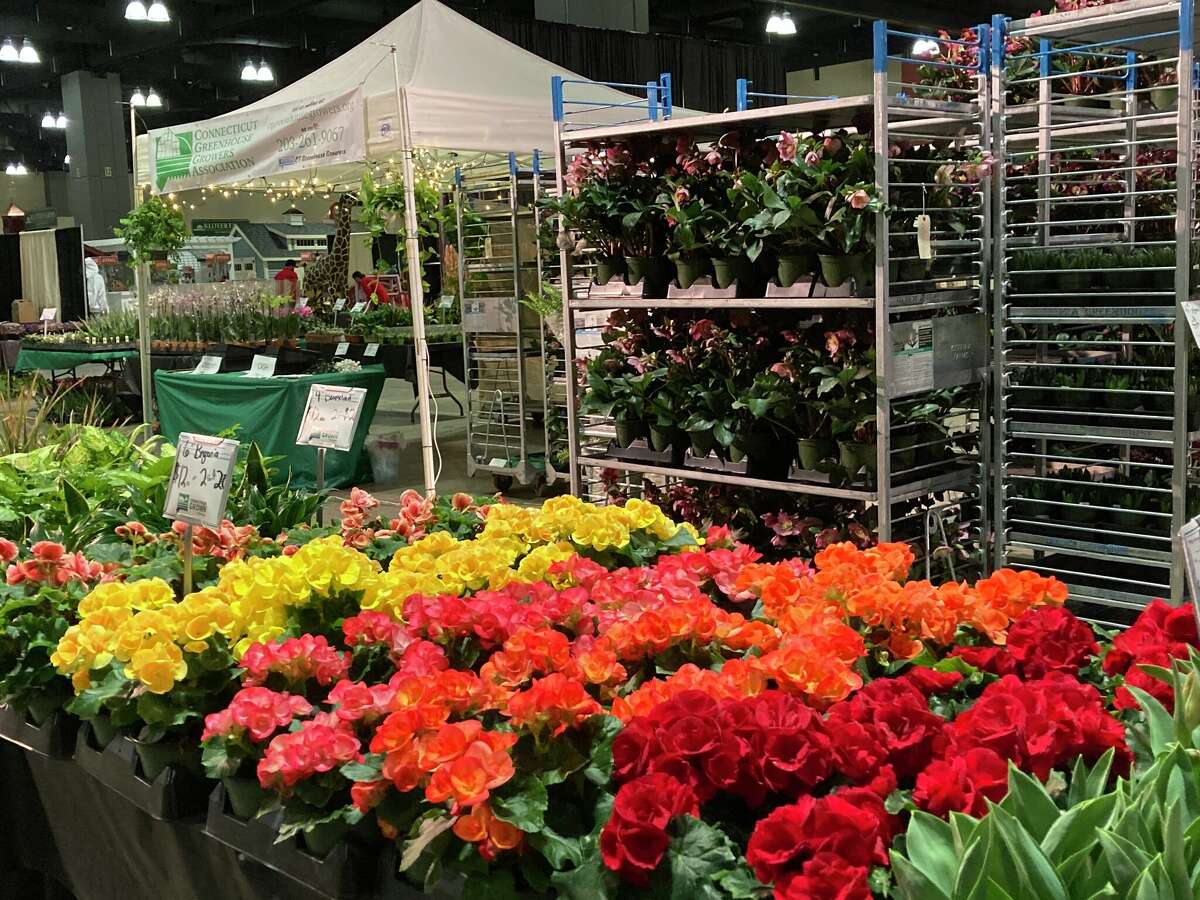 CT Flower & Garden Show coming up Feb. 23-26