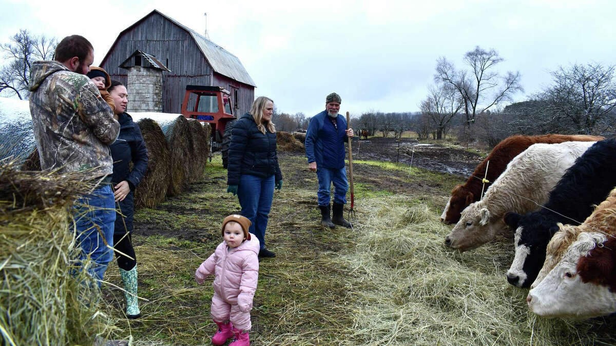 Grove Farms in Paris is a fourth-generation farm specializing in cattle and pigs. 