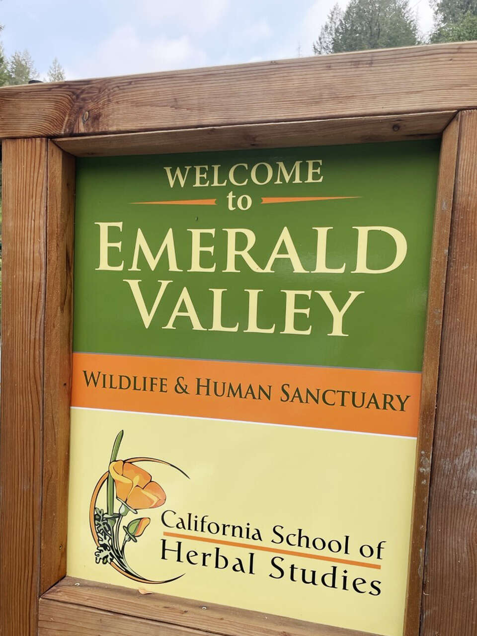 How the Grateful Dead helped a Bay Area school get its start