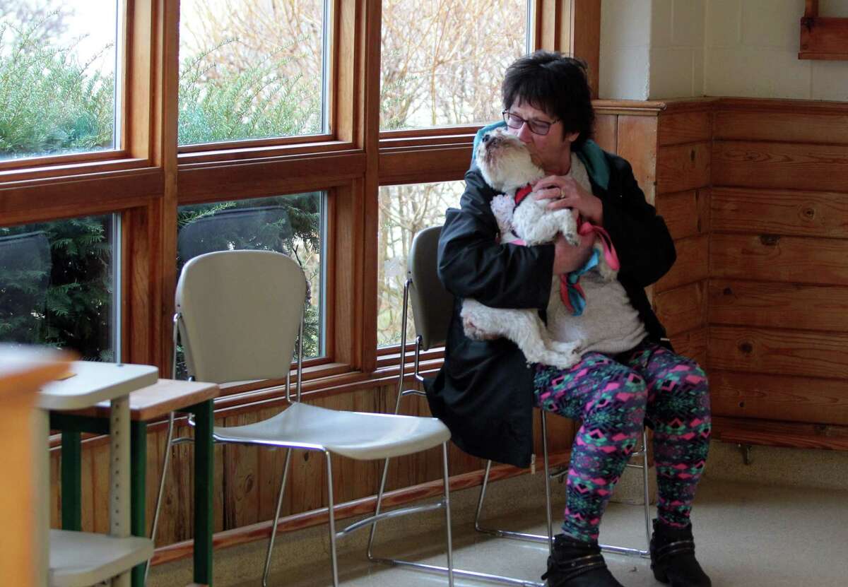 Stratford's Shakespeare Veterinary Hospital to close