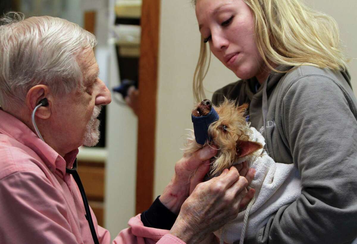 Stratford's Shakespeare Veterinary Hospital to close