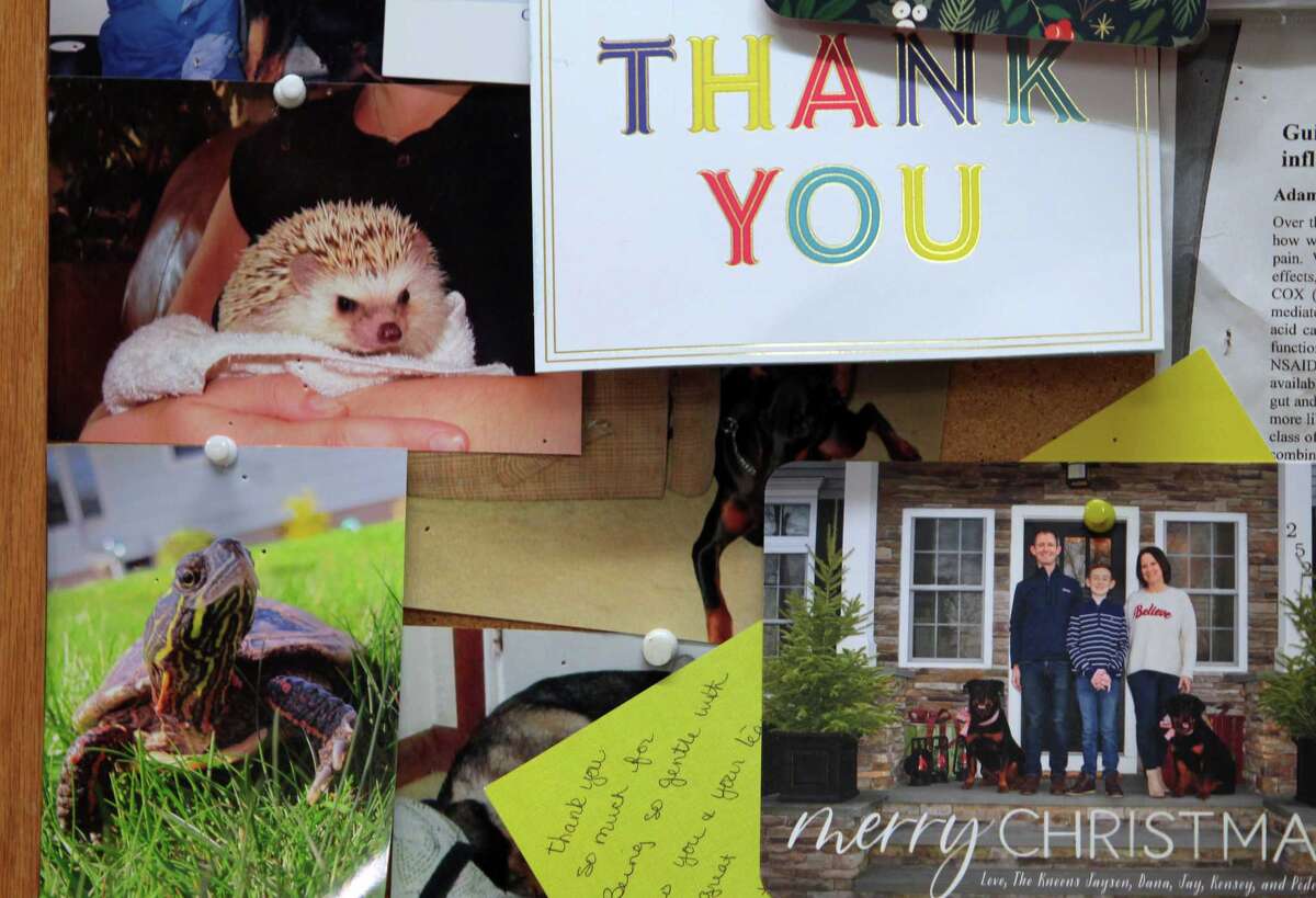 Stratford's Shakespeare Veterinary Hospital to close