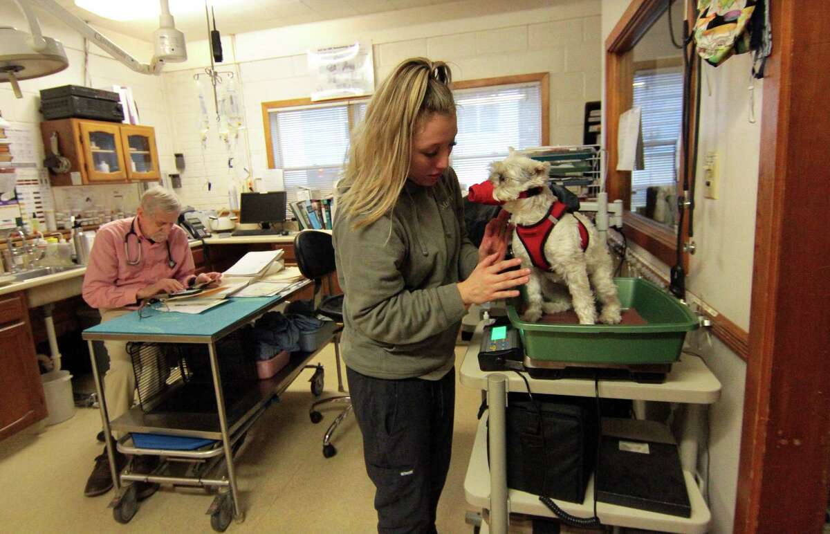 Stratford's Shakespeare Veterinary Hospital to close