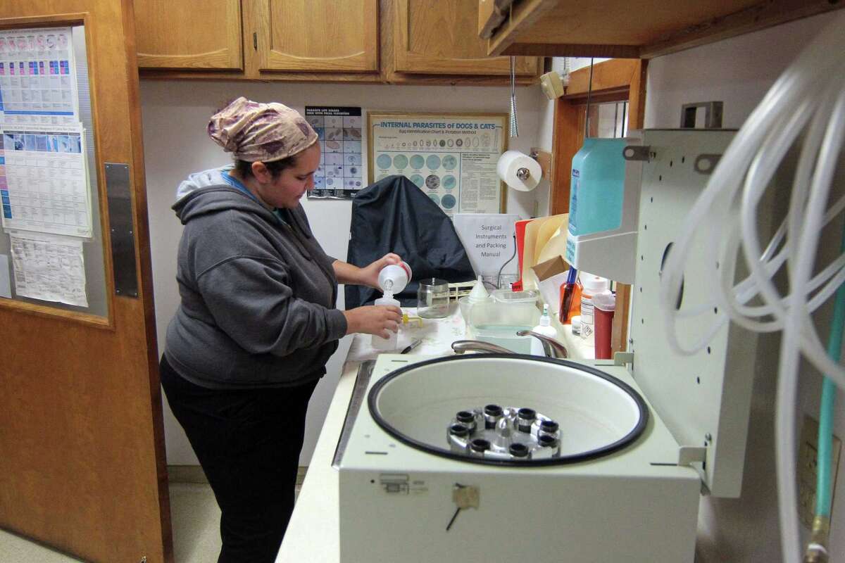 Stratford's Shakespeare Veterinary Hospital to close