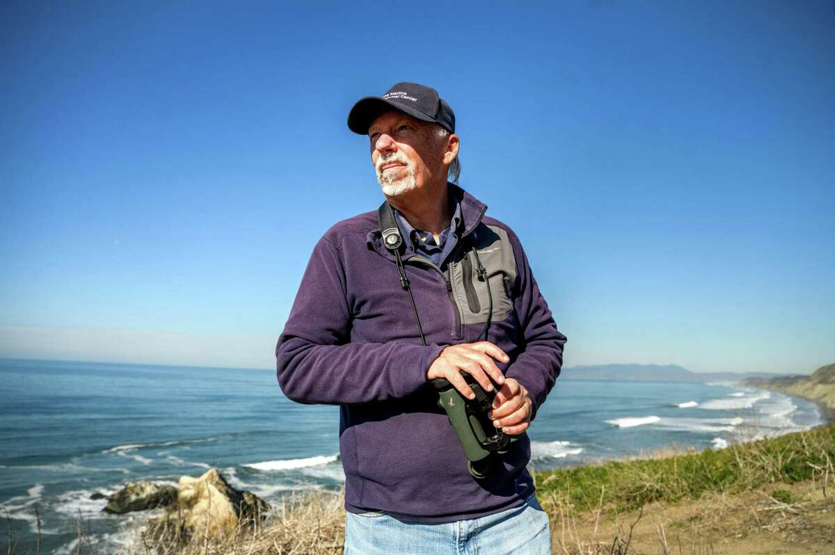 Bill Keener of the Marine Mammal Center searches for dolphins near Mussel Rock in Daly City in November.
