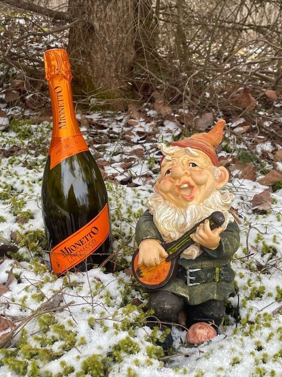 Pierre the garden gnome, Kevin Fisher-Paulson’s gift to friends Amanda and Ann, poses with a bottle of bubbly.
