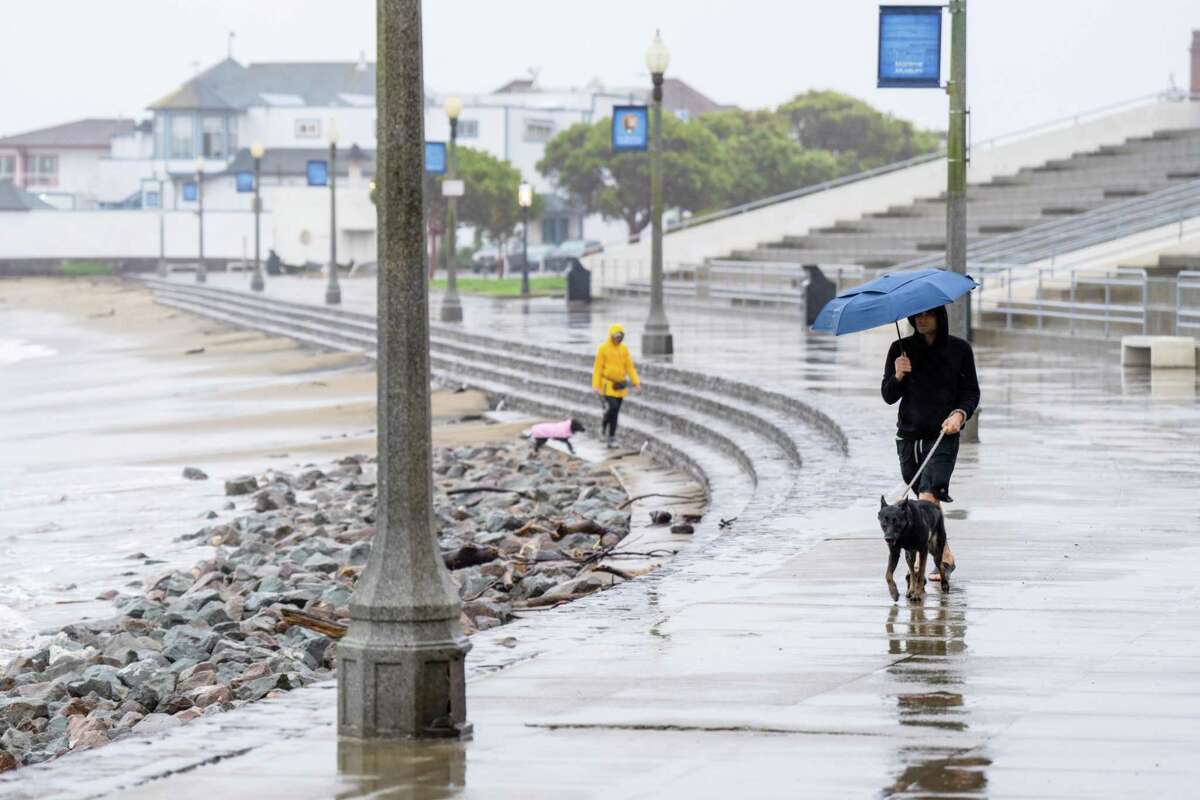 People walk their dogs in the rain and wind along Aquatic Cove in San Francisco.