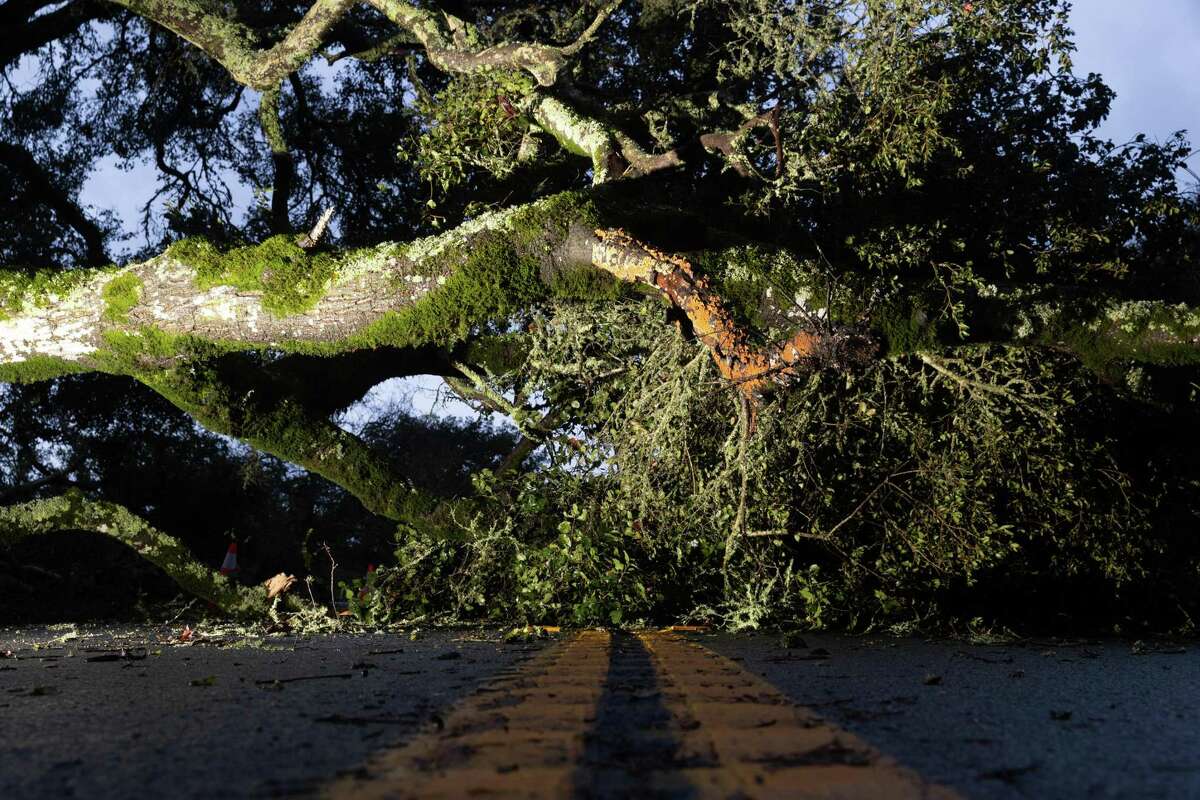 A tree blocks Highway 152 in Watsonville. California has been battered by a series of atmospheric rivers and large ocean swells, which have caused regional flooding and damage.
