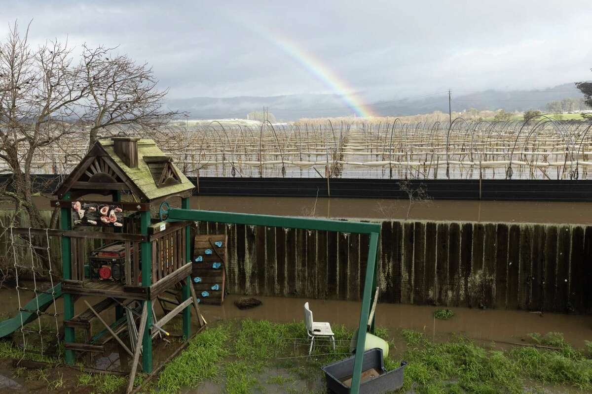 一道彩虹盘旋在沃森维尔拉肯大道一户人家后面被水淹没的农田上。